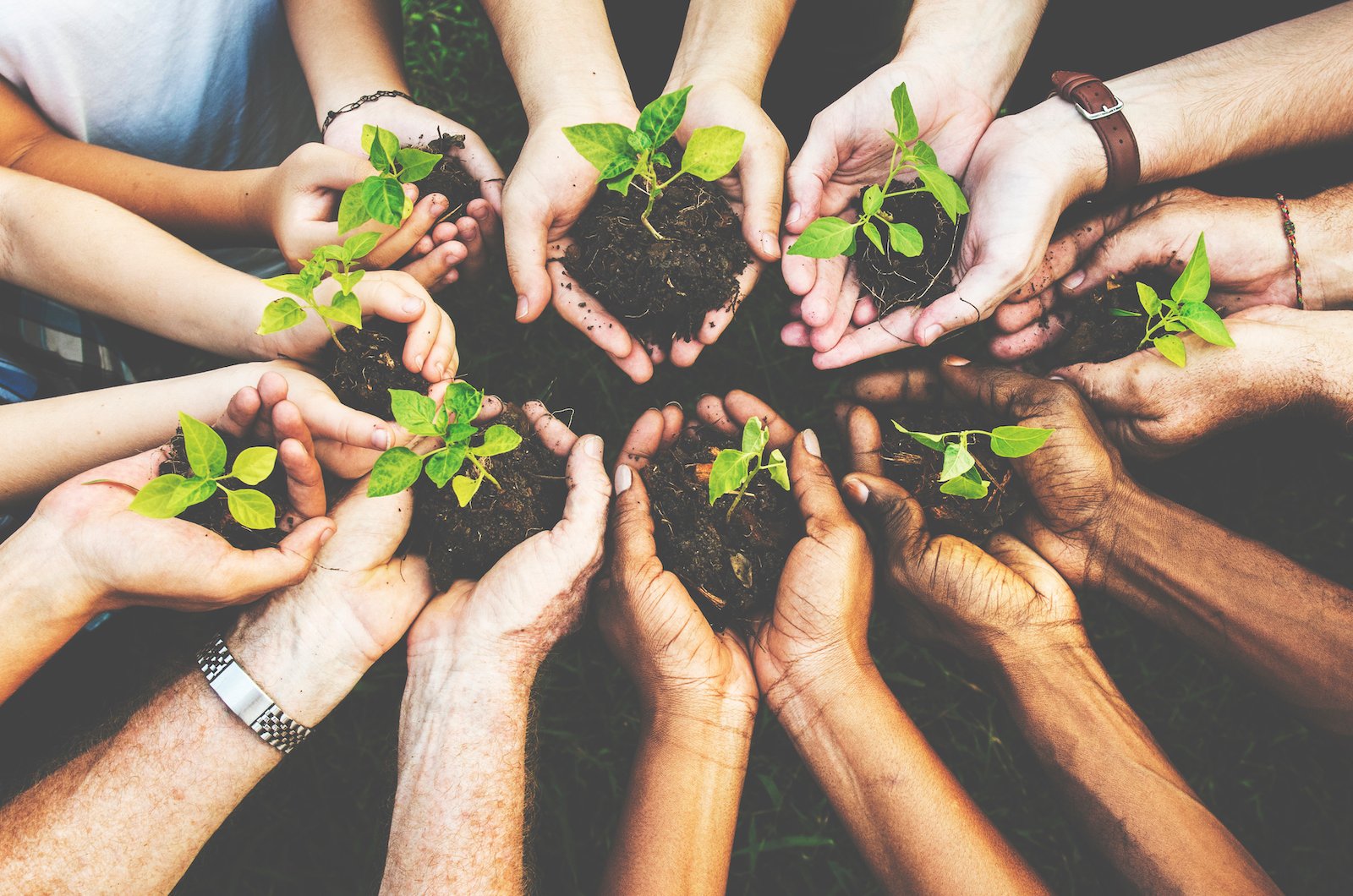 Reimagining Lost Revenue & Recreating Your Community