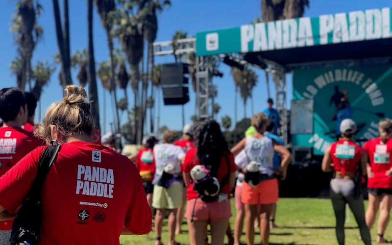 WWF Panda Paddle in San Diego