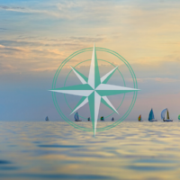 Meridian: Purpose-Driven Strategy