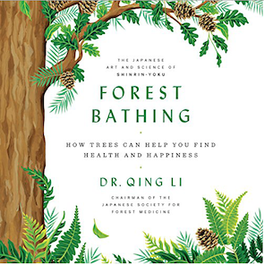 Forest Bathing