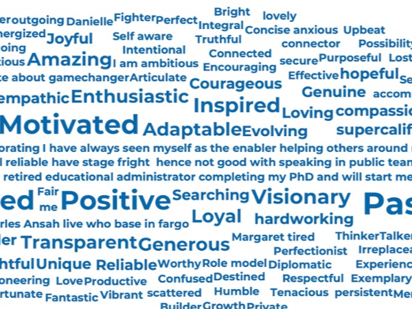 Lantern Assessment Word Cloud - Cropped