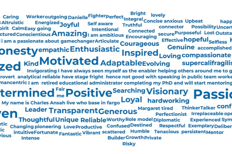Lantern Assessment Word Cloud 800px